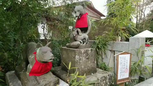 白笹稲荷神社の狛犬