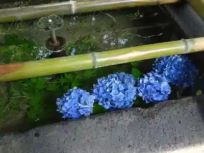 荏柄天神社の手水舎