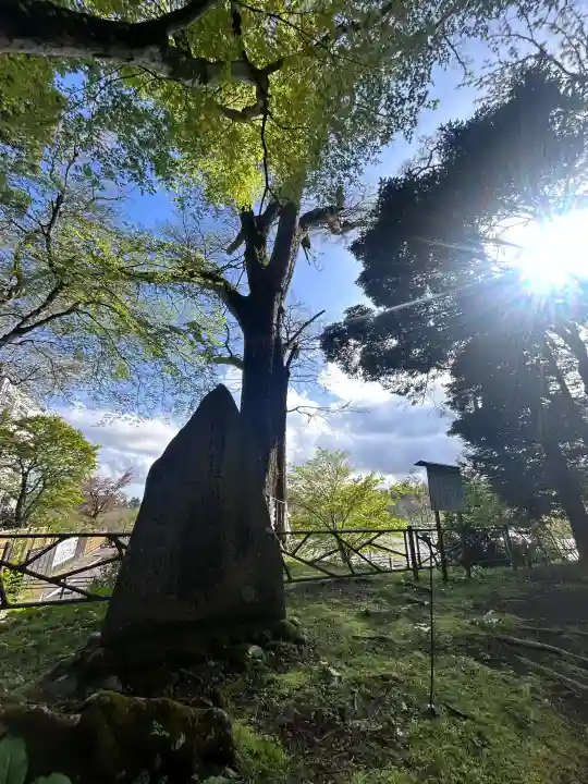富士山東口本宮 冨士浅間神社の{uncategorized: "未分類", other: "その他", undefined: "問題あり", building: "その他建物", grave: "お墓", sacred_gate: "鳥居", guardian: "狛犬", statue: "像", buddha: "仏像", history: "歴史", nature: "自然", garden: "庭園", animal: "動物", pagoda: "塔", temizu: "手水舎", mountain_gate: "山門・神門", sanctuary: "本殿・本堂", subordinate: "末社・摂社", art: "芸術", scenery: "景色", jizo: "地蔵", ema: "絵馬", goshuin: "御朱印", omikuji: "おみくじ", items: "授与品その他", amulet: "お守り", goshuincho: "御朱印帳", eats: "食事", festival: "お祭り", votive_dance: "神楽", shichigosan: "七五三参", wedding: "結婚式", experience: "体験その他", initially: "初詣", around: "周辺", anti_infection: "感染症対策"}
