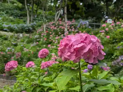 二本松寺(茨城県)