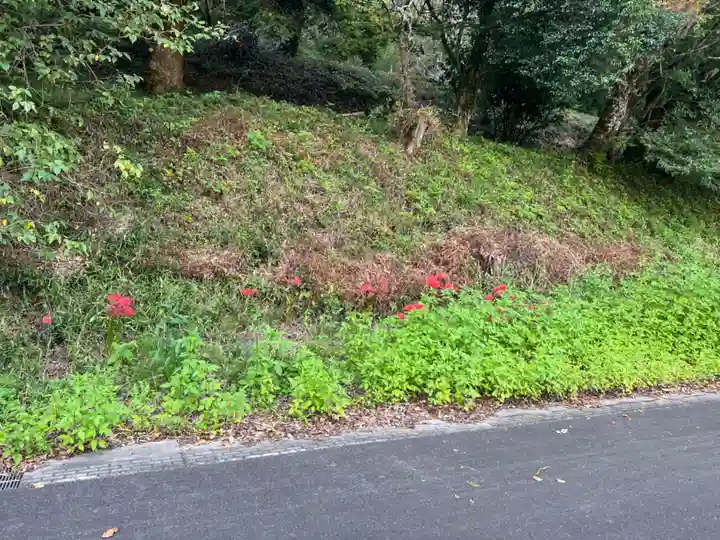 大宮温泉神社(栃木県)