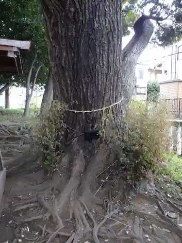 王子神社の自然