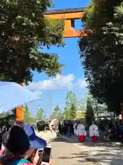 川越氷川神社(埼玉県)