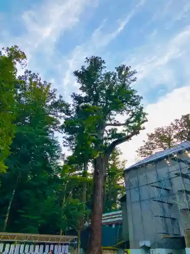 鹿島神宮の{uncategorized: "未分類", other: "その他", undefined: "問題あり", building: "その他建物", grave: "お墓", sacred_gate: "鳥居", guardian: "狛犬", statue: "像", buddha: "仏像", history: "歴史", nature: "自然", garden: "庭園", animal: "動物", pagoda: "塔", temizu: "手水舎", mountain_gate: "山門・神門", sanctuary: "本殿・本堂", subordinate: "末社・摂社", art: "芸術", scenery: "景色", jizo: "地蔵", ema: "絵馬", goshuin: "御朱印", omikuji: "おみくじ", items: "授与品その他", amulet: "お守り", goshuincho: "御朱印帳", eats: "食事", festival: "お祭り", votive_dance: "神楽", shichigosan: "七五三参", wedding: "結婚式", experience: "体験その他", initially: "初詣", around: "周辺", anti_infection: "感染症対策"}