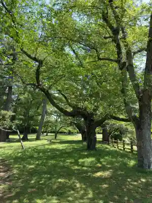 出雲大社(島根県)