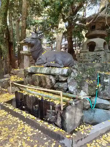 春日大社(奈良県)