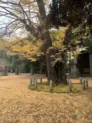 赤坂氷川神社(東京都)