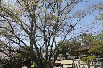 長岡天満宮のその他建物