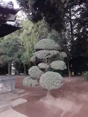 伏木香取神社(茨城県)
