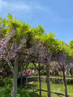 亀戸天神社(東京都)