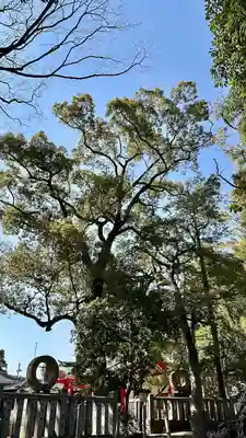 亀之森住吉神社の自然