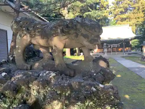 下鶴馬氷川神社の狛犬