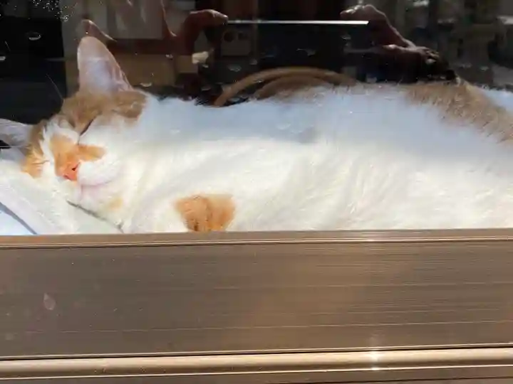 伊勢神社(岡山県)