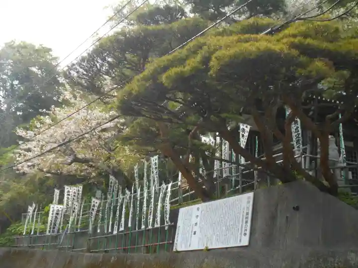 星井寺(虚空蔵堂)の景色