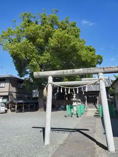 北山神明社の鳥居