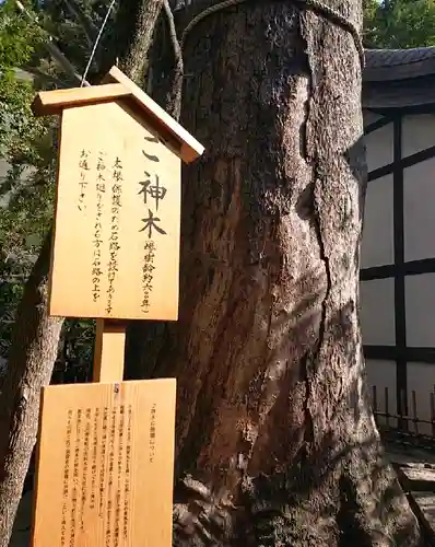 川越氷川神社の自然