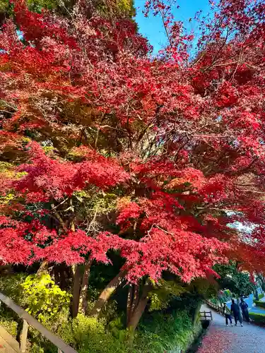 深大寺(東京都)