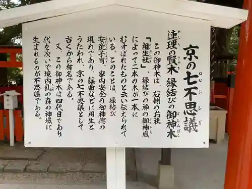 賀茂御祖神社（下鴨神社）(京都府)