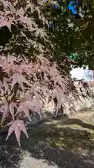 斎場所大元宮（吉田神社末社）(京都府)