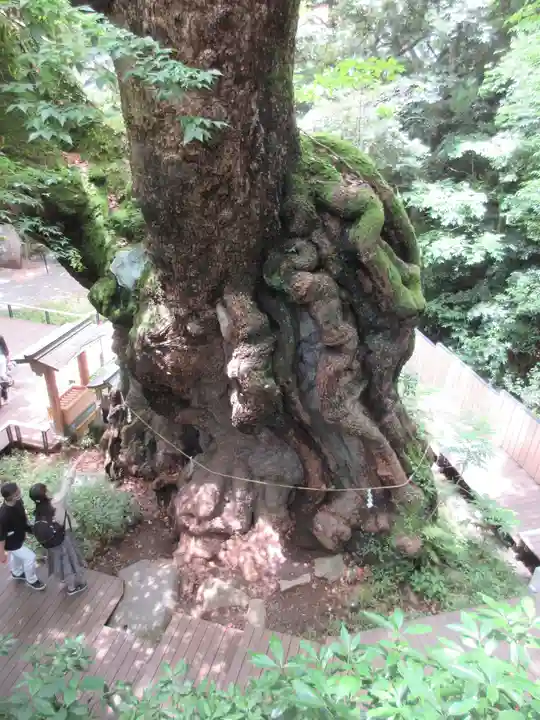 來宮神社のその他建物