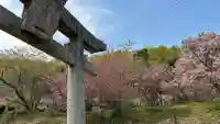 素戔嗚神社(岡山県)