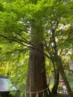談山神社(奈良県)