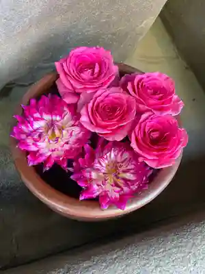 菅生神社の手水舎