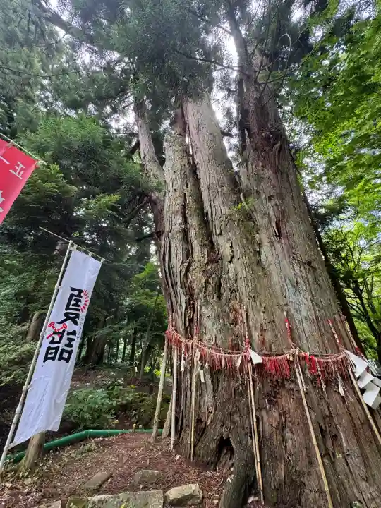 磐椅神社(福島県)