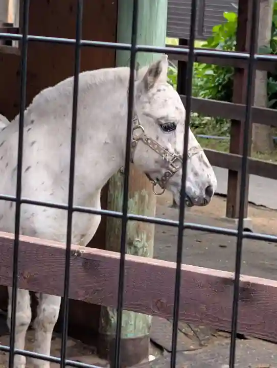 五方山熊野神社(東京都)