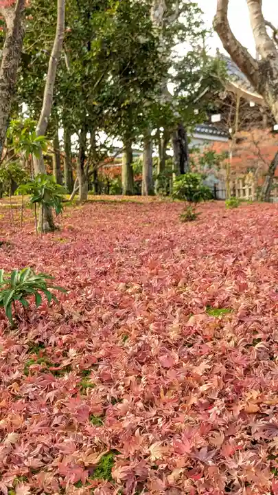 法金剛院(京都府)