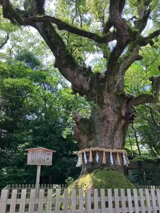 熱田神宮(愛知県)