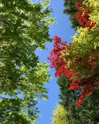 滑川神社 - 仕事と子どもの守り神(福島県)