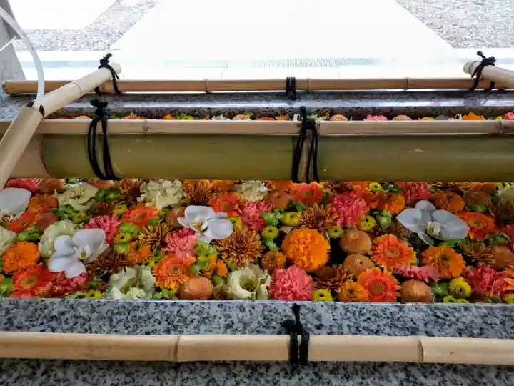 富岡八幡宮(東京都)