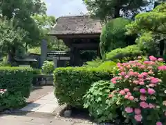 極楽寺（霊鷲山感應院極楽律寺）の山門