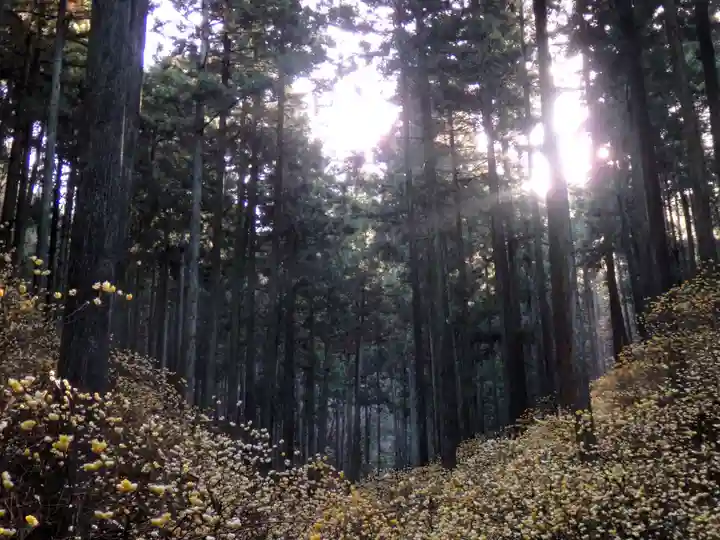 焼森山雷神神社の景色