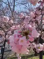 醍醐寺(京都府)