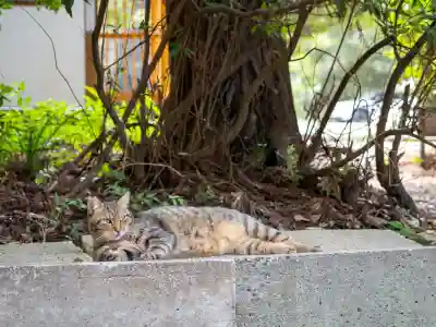息栖神社(茨城県)
