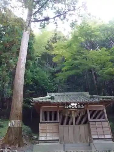 白山神社の本殿