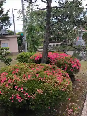 高木神社(福井県)
