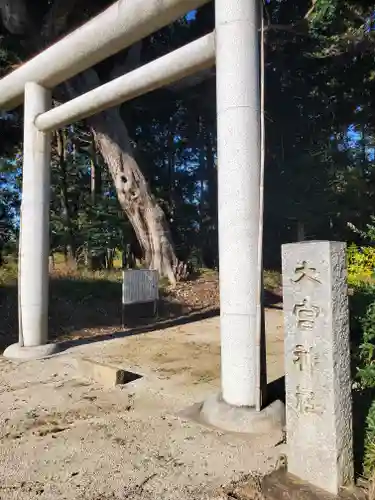 大宮神社の鳥居