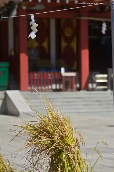 東京羽田 穴守稲荷神社(東京都)