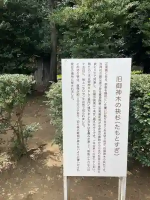 諏訪神社(東京都)