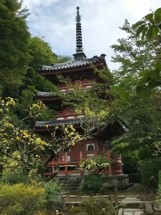 三室戸寺の塔