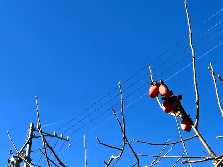 倶梨迦羅神社(長野県)