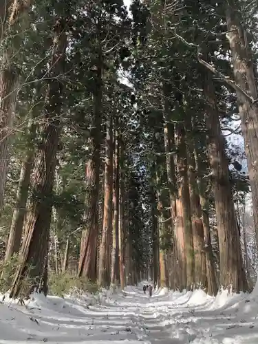 戸隠神社奥社(長野県)