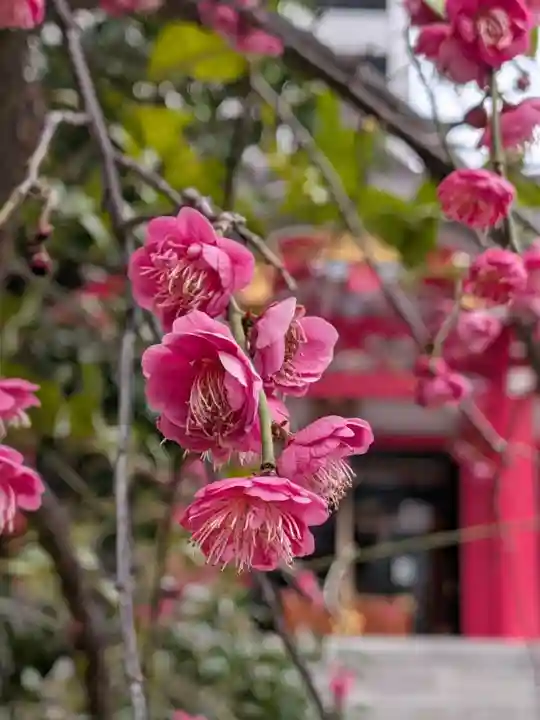 成子天神社(東京都)