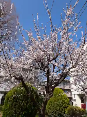 池尻稲荷神社(東京都)