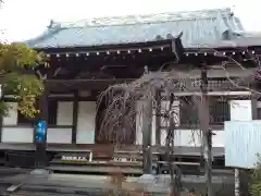 医王寺(千葉県)