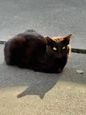 若宮八幡社(愛知県)