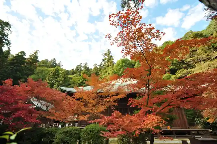 西山興隆寺(愛媛県)